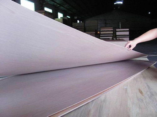 Pilyester Plywood