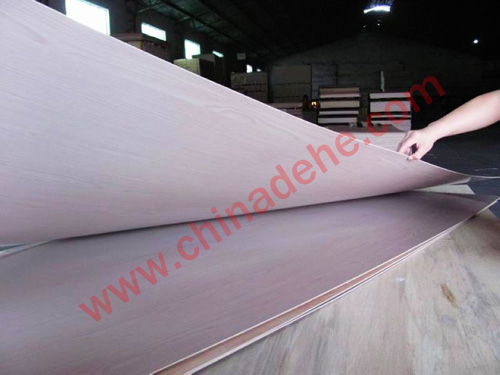 Pilyester Plywood