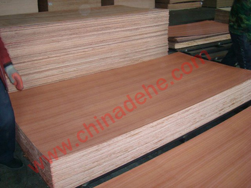 Sapele fancy plywood