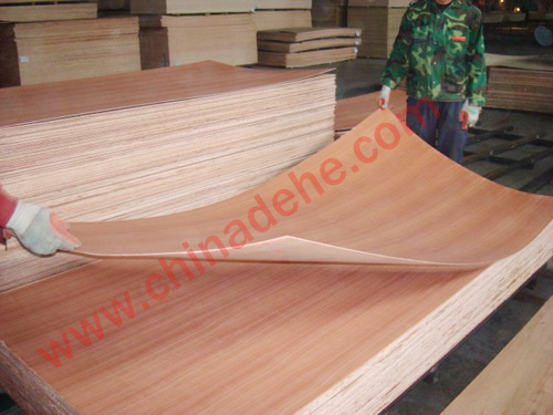 Sapele fancy plywood