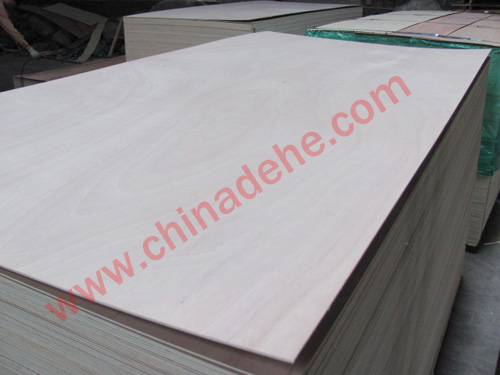 Chinese ash plywood