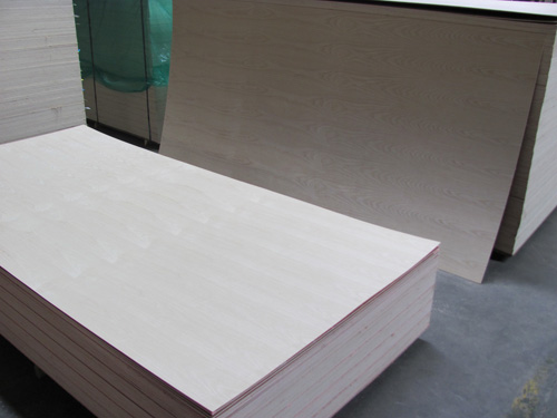Chinese ash plywood