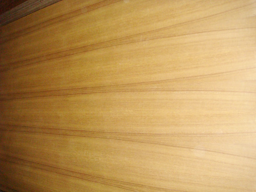 ̩������