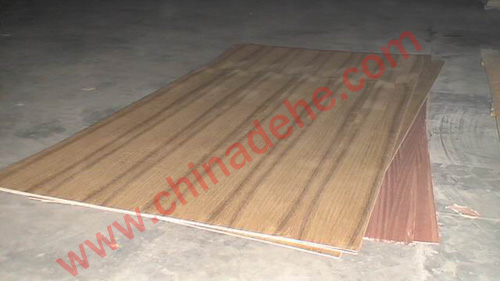 ̩������