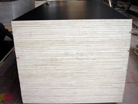 ����ģ��