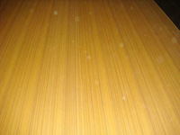 ̩������