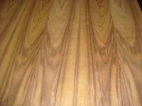 ̩������