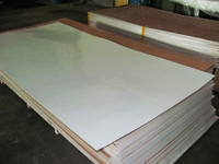 Pilyester Plywood