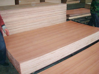Sapele fancy plywood