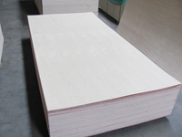 Chinese ash plywood